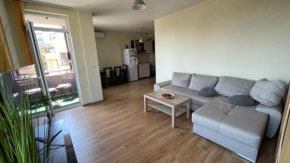 Very cozy and sunny apartment in the center of Sofia